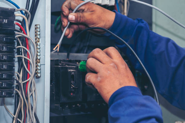 Best Ceiling Fan Installation Electrician  in Hampton Manor, NY